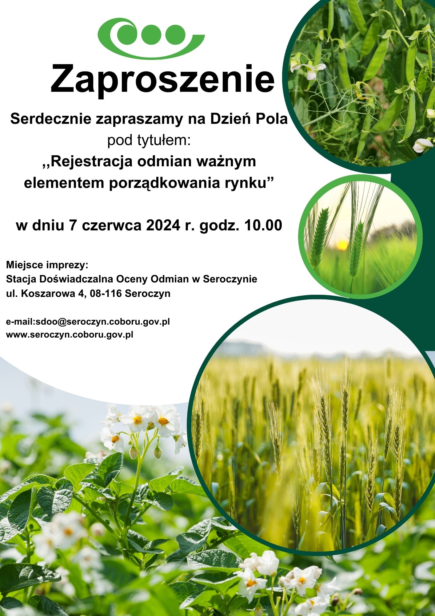 plakat:Zakład doświadczalny  oceny odmian w Seroczynie  zaprasza na Dzień dni pola 7 czerwca 2024  rku godzina 10:00 w Seroczynie pod tytułem Rejestracja odmian ważnym elementem porządkowym rynku.Zapraszamy